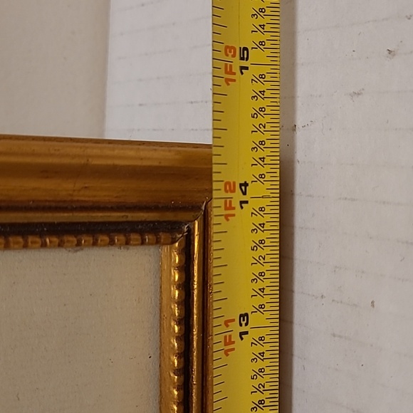 J. Gould and HC Richter Comete Phaon Hummingbirds Lithograph - Picture 13 of 17